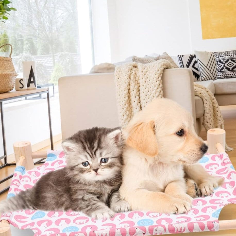 Hamac pour Chat - ZenPet™ - Ours Pop