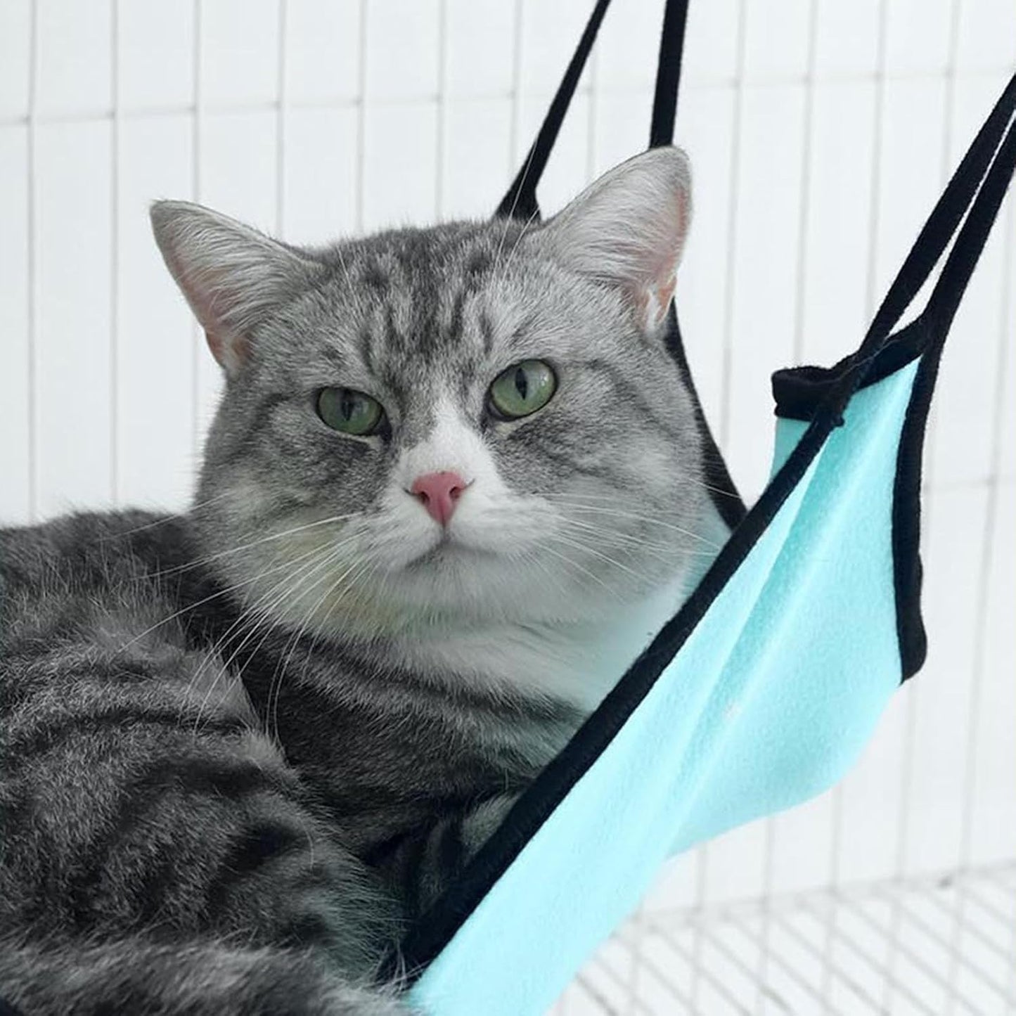 Hamac Pour Chat - CatHammockBed™ - Bleu