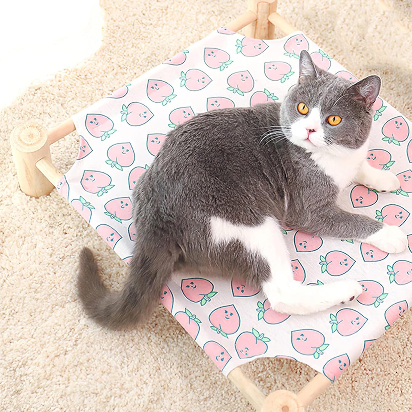Hamac pour Chat - ZenPet™ - Douceur Pêche