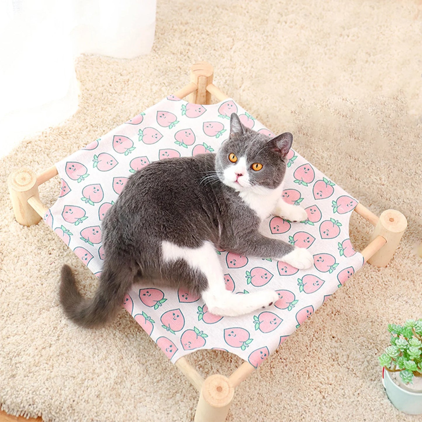 Hamac pour Chat - ZenPet™ - Douceur Pêche