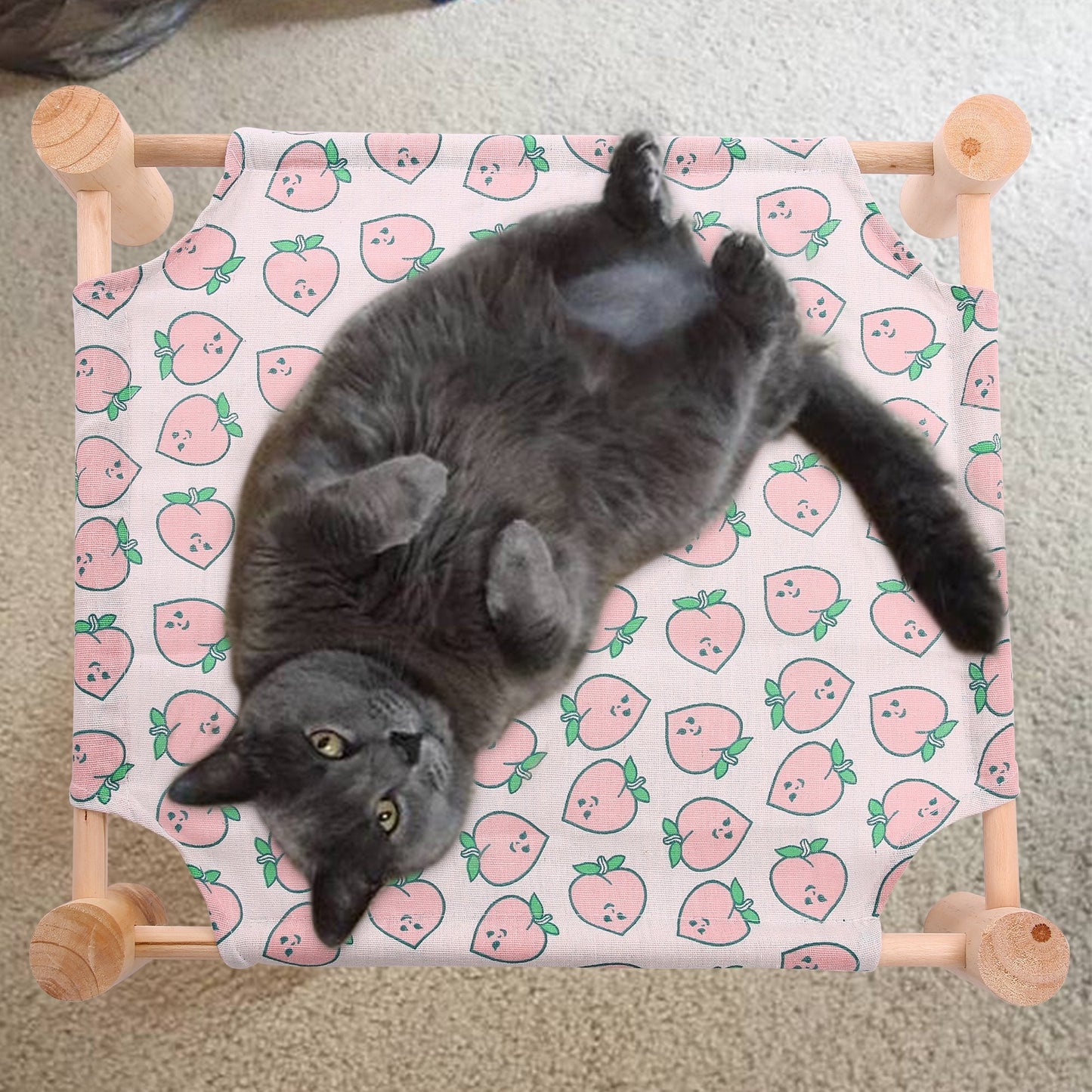 Hamac pour Chat - ZenPet™ - Douceur Pêche