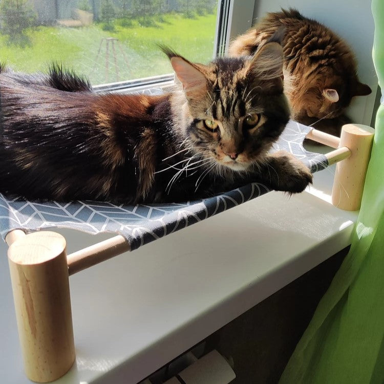 Hamac pour Chat - ZenPet™ - Gris Tendance