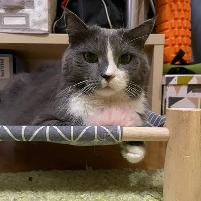Hamac pour Chat - ZenPet™ - Gris Tendance